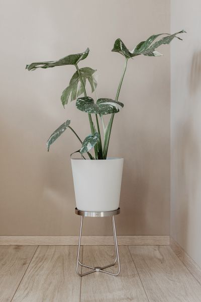 "PLATENA" bloempot