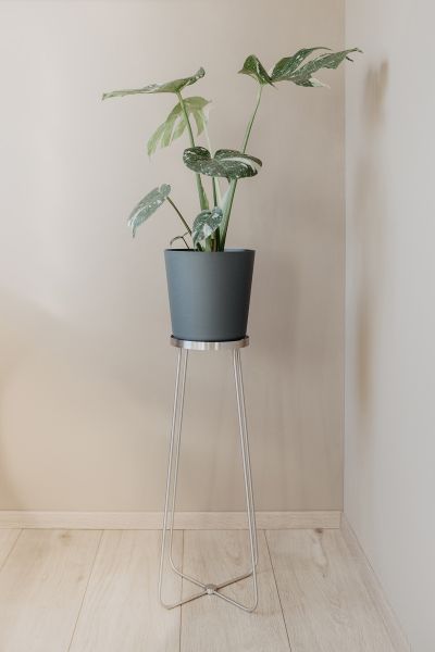 "PLATENA" plantenstandaard, hoog