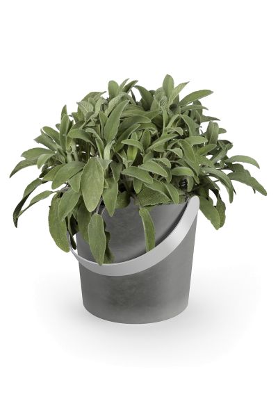 "TARDO" plant pot