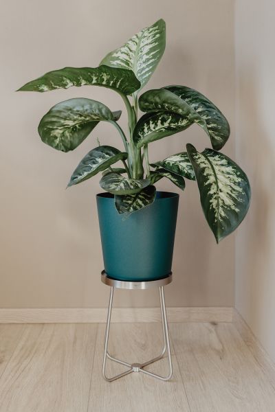 "PLATENA" bloempot