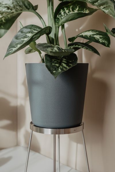 "PLATENA" bloempot